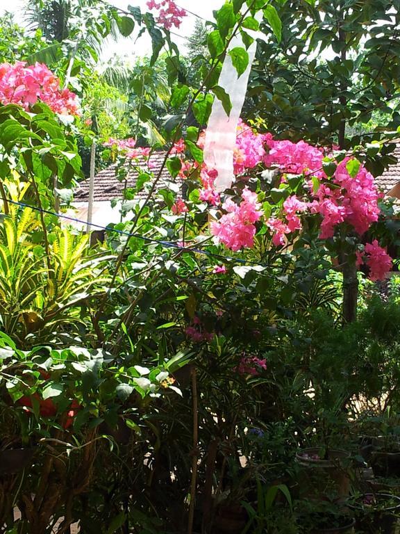 Nethum Rest Hotel Mirissa Bagian luar foto